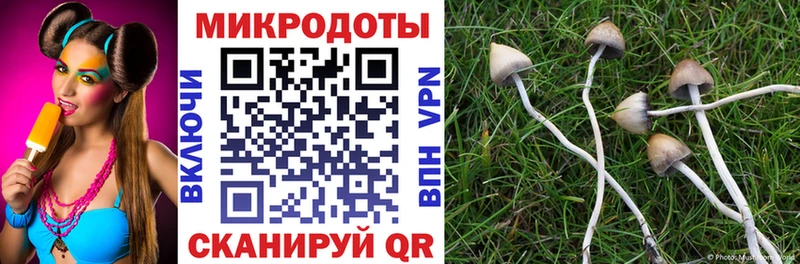 Галлюциногенные грибы прущие грибы  где купить наркотик  Туймазы 